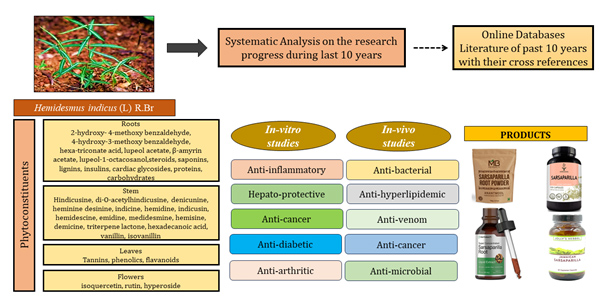 Graphical Abstract